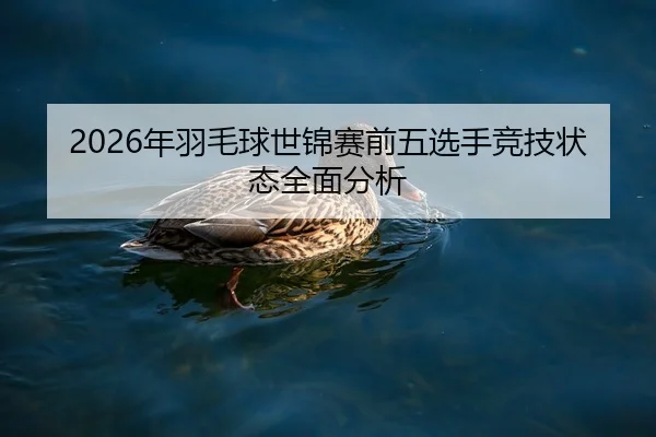 nian-yu-mao-qiu-shi-jin-sai-qian-wu-xuan-shou-jing-ji-zhuang-tai-quan-mian-fen-xi-1-473.jpg
