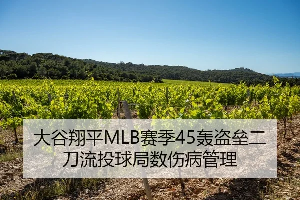 大谷翔平MLB赛季45轰盗垒二刀流投球局数伤病管理