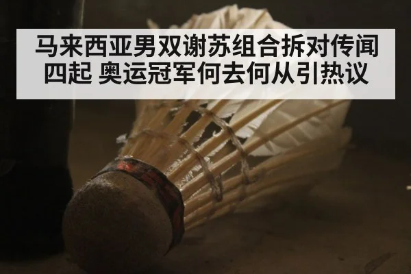 马来西亚男双谢苏组合拆对传闻四起 奥运冠军何去何从引热议