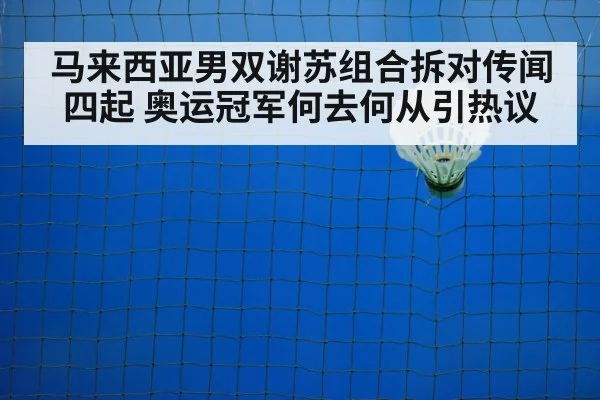 badminton training court